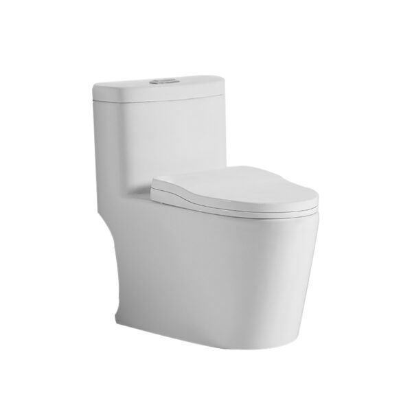 Usine chinoise de vente en gros d'articles sanitaires pour salle de bain, toilettes monobloc