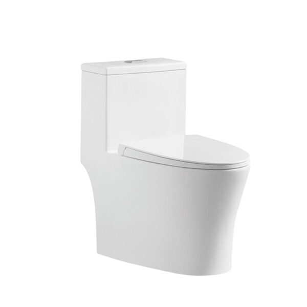 Fabricant de toilettes en Chine, articles sanitaires pour salle de bains, toilettes monobloc vitrées blanches