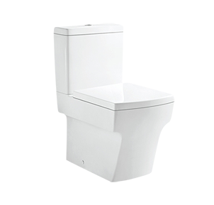 Factory wholesale Toilet with Skirted Trapway