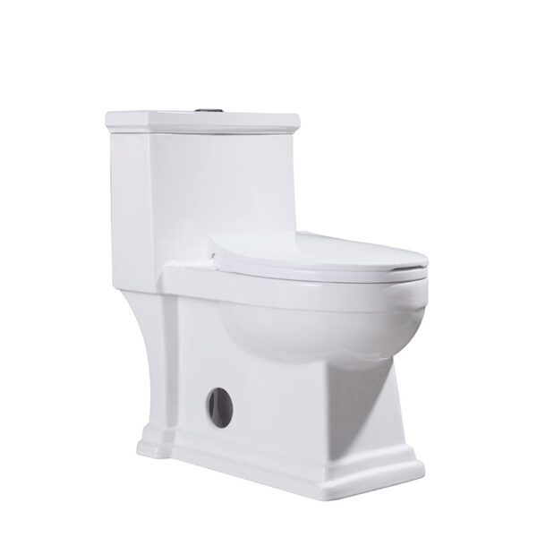 Modern Economic Price Ceramic Dual-Flush One-Piece Toilet